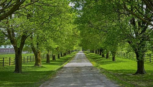 Eden Hills Villa by H&H Development - Photo 5