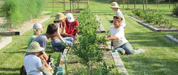 Eden Hills Villa by H&H Development - Photo 6