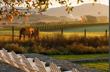 Eden Hills Villa by H&H Development - Photo 7