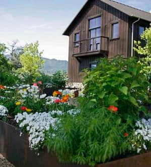 Eden Hills Villa by H&H Development - Photo 9